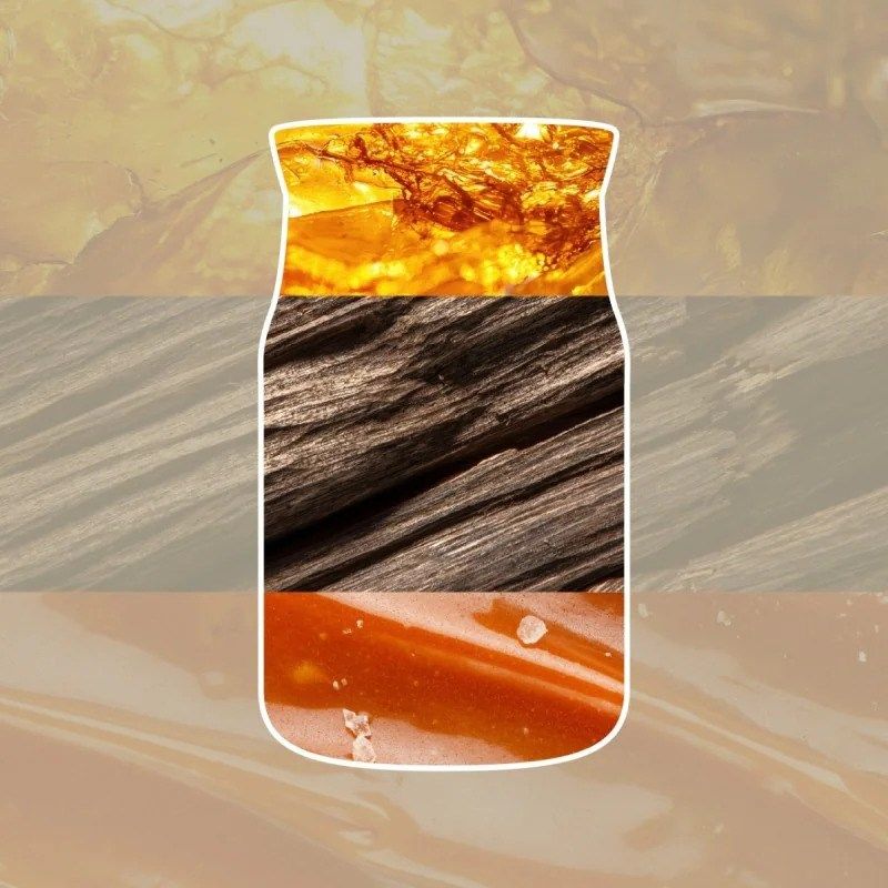 YC SIGNATURE - Medium AMBER & SANDALWOOD YANKEE Candle