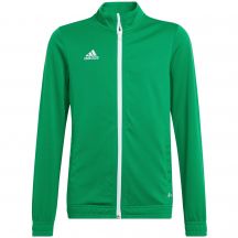 adidas Felpa Entrada Track