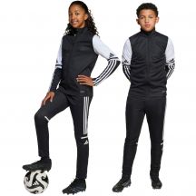 adidas Pantaloni Squadra Training