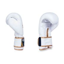DBX Bushido Guanti Boxing Spirit Valor Series