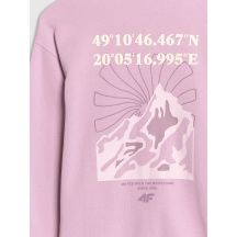 4f Felpa with hood,
