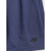 4f Pantaloncini quick-drying training