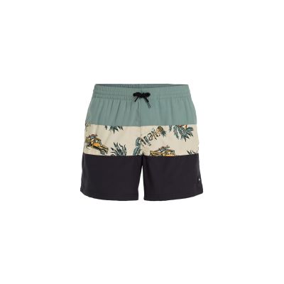 ONeill Pantaloncini O'Neill Mix&Match Cali Block Swim