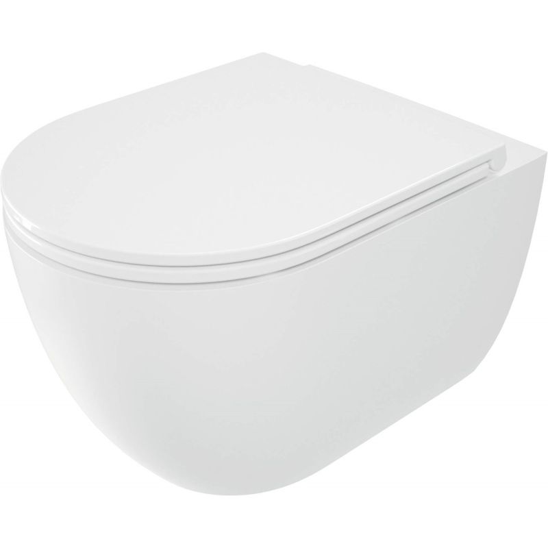 Rimless toilet bowl with seat