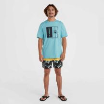 ONeill Pantaloncini O'Neill Mix&Match Cali Block Swim