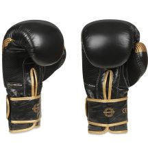 DBX Bushido Guanti Boxing Aureos Valor Series