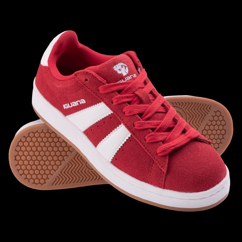 Iguana Scarpe eirith