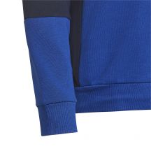 adidas Felpa con cappuccio Colourblock