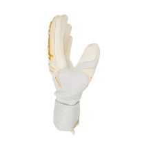 Reusch Guanti Attrakt Advance goalkeeper