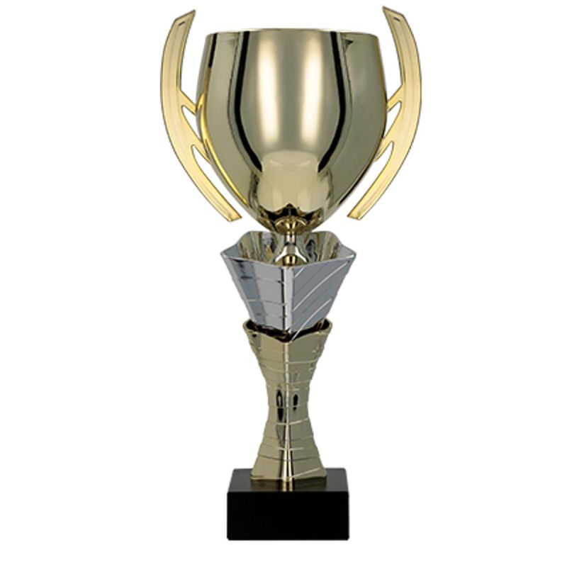 Gold and silver metal cup