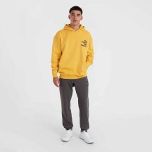 ONeill Felpa con cappuccio O'Neill Future Surf Society