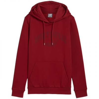 Puma Felpa con cappuccio Ess+ Logo LAB FL
