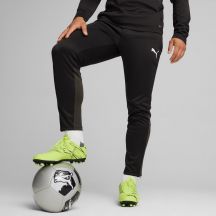 Puma Pantaloni Team Goal Training