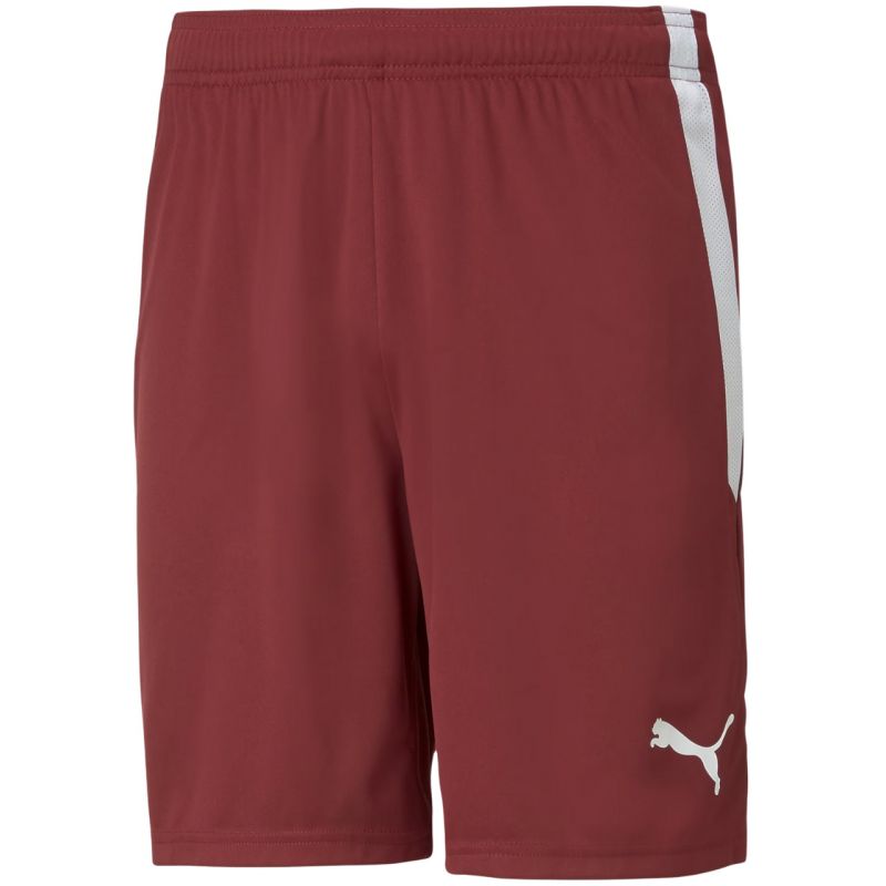 Puma teamLIGA M 704924 09 shorts
