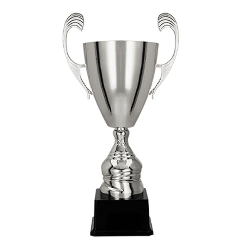 Silver metal cup TM