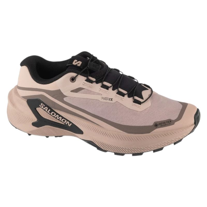 Salomon Genesis 2 GTX W L45388300 Grey 37 1/3