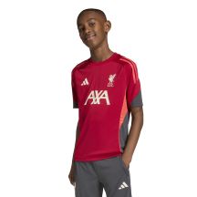 adidas Maglia Liverpool FC Training JSY