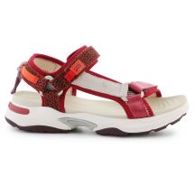 D.Franklin Sneakers D. Franklin Strips