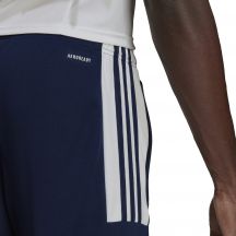 adidas Pantaloni Squadra training