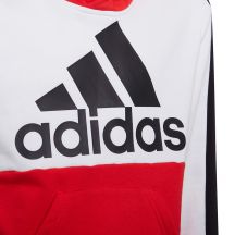 adidas Felpa con cappuccio Colorblock Fleece