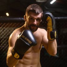 DBX Bushido Guanti Boxing Hammer Legacy Series