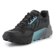 adidas Scarpe Terrex Agravic Flow GTX