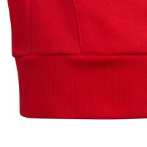 adidas Felpa con cappuccio Colorblock Fleece