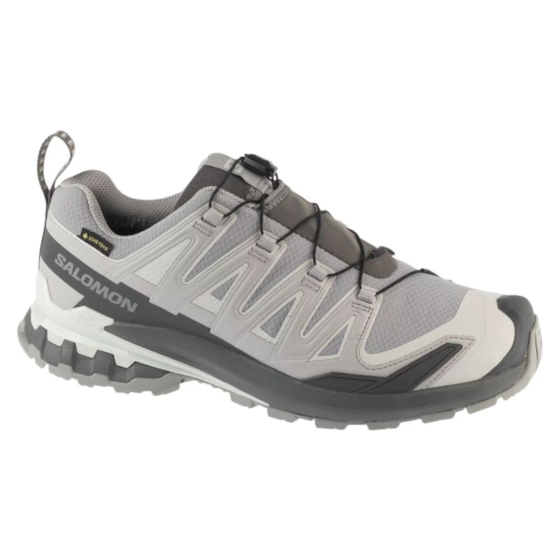 Salomon XA Pro 3D v9 GTX L49199100 Grey 46 2/3