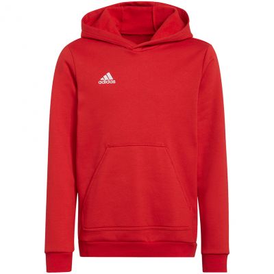 adidas Felpa con cappuccio Entrada