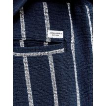 Jack&Jones Pantaloncini striped jpstjaiden coba stripe JOG shorts REG SN SKY captain/stripes