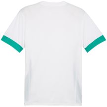 Puma Maglia teamGoal Matchday white-green