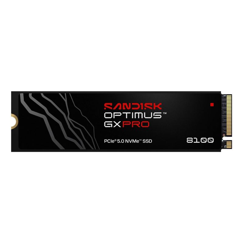 SSD Sandisk Optimus GX Pro 8100 1TB SDSP82100TAN