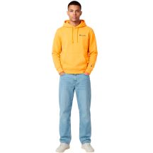 Champion Felpa Hooded