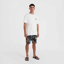 ONeill Maglietta O'Neill Beach Graphic