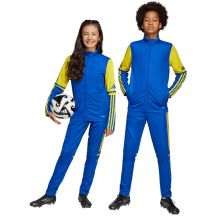 adidas Pantaloni Squadra Training
