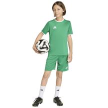 adidas Pantaloncini Entrada