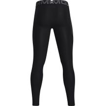 Under Armour Leggings HG Armour