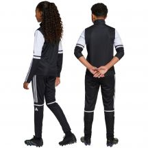 adidas Pantaloni Squadra Training