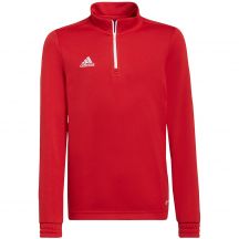 adidas Felpa Entrada Tr Top
