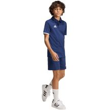 adidas Polo Entrada