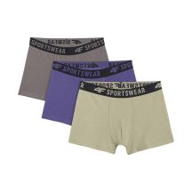 4f Boxer multicolor