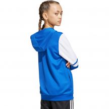 adidas Felpa con cappuccio Squadra