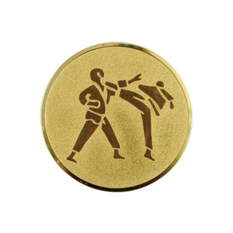 Aluminium Insert – Karate