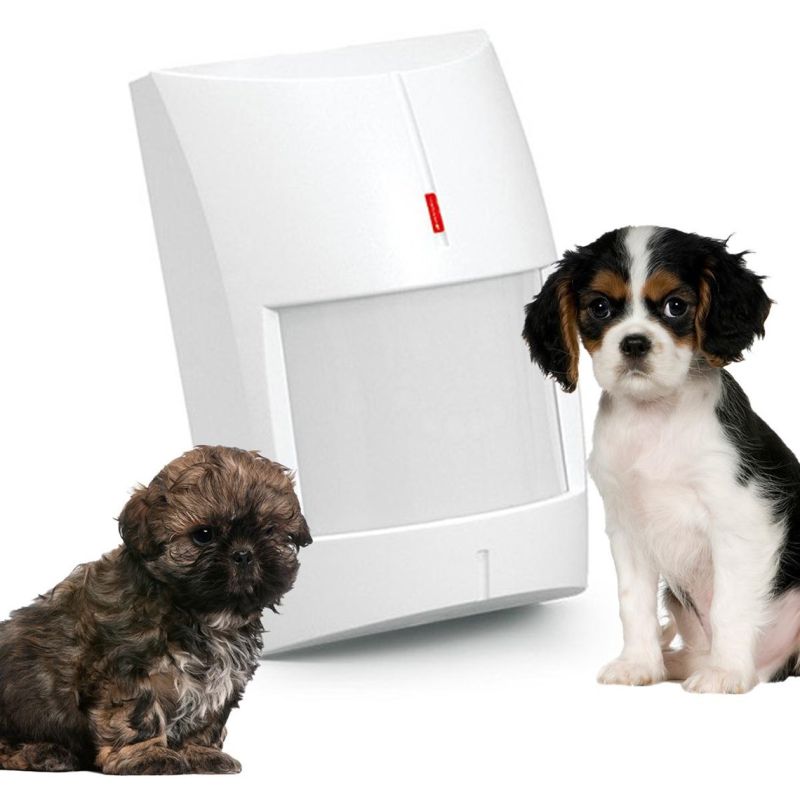 Satel GREY Indoor motion sensor white - Promotion!