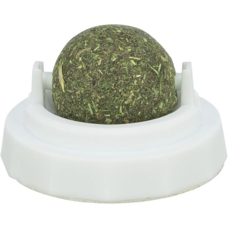 Catnip ball with handle, for cats, 5 cm, for sticking