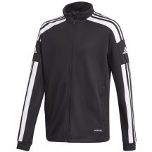 adidas Felpa Squadra Training