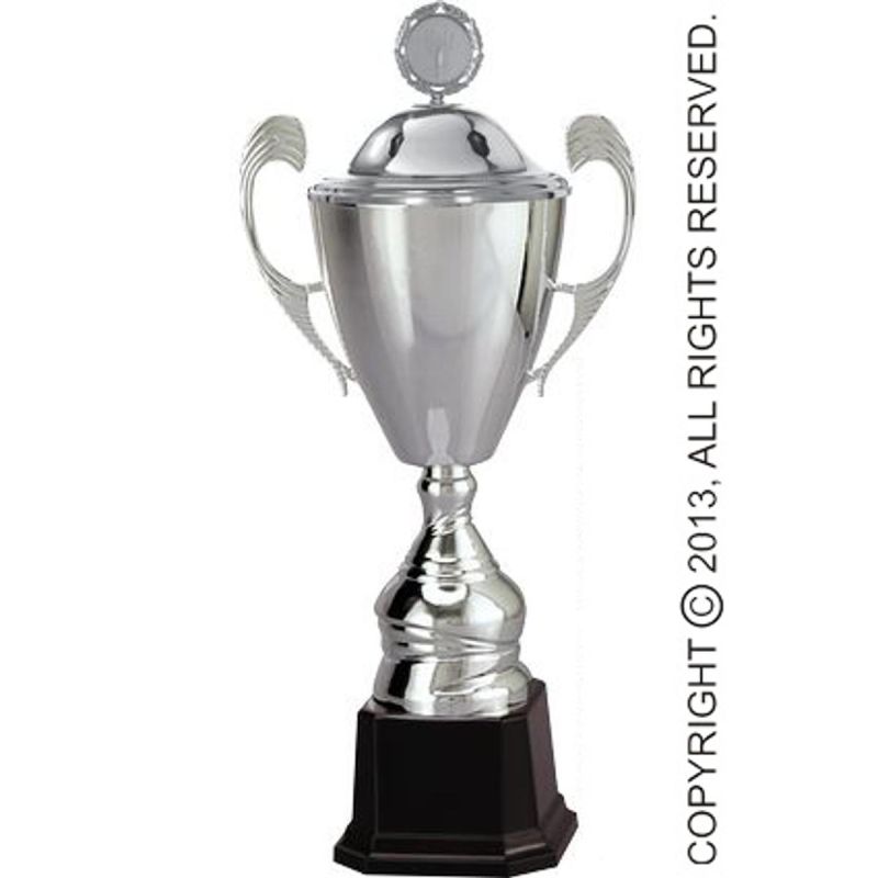 Silver metal cup with lid
