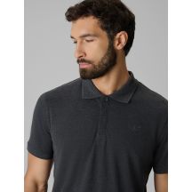 4f Polo regular
