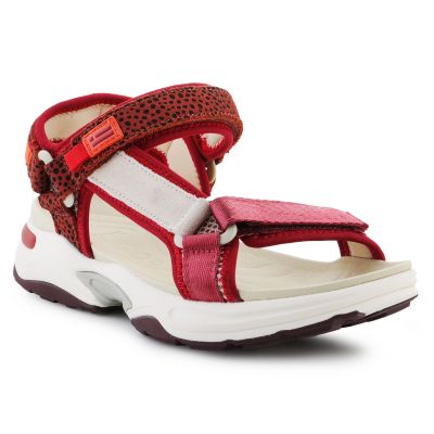 D.Franklin Sneakers D. Franklin Strips