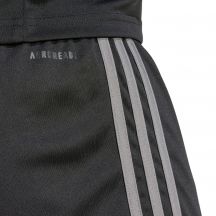 adidas Pantaloncini Squadra